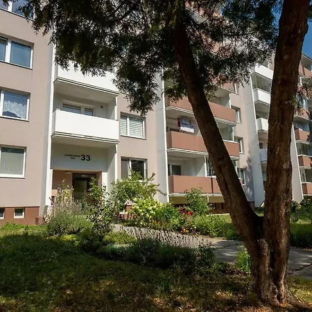 Great Large Near Center Martin